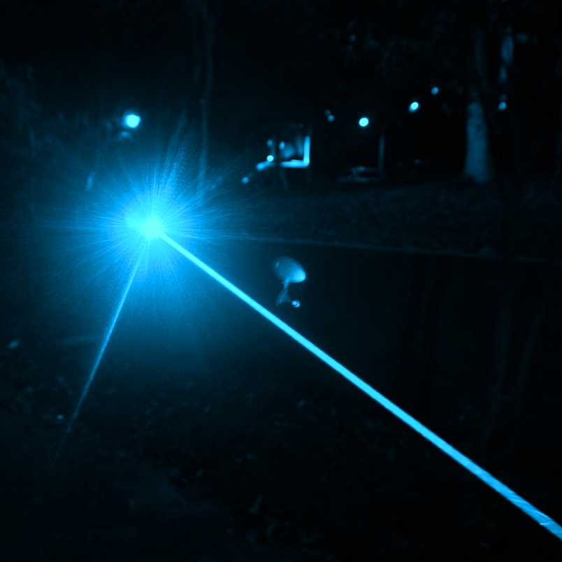 Search Light Laser Torch Flashlight for Bones Teeth 460nm Wavelength